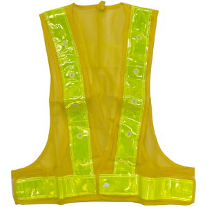 ~YPC ƕ LEDSxXg n/ (1) iԁF5916506