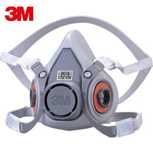3M X[G hŃ}XNʌ`ʑ 6000 MTCY (1) iԁF6000M