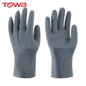 g Ǝ jgS ANeBuObvϖ M (1o) iԁF585-M