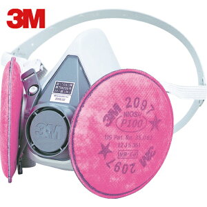 3M X[G ֎h}XN 6000/2097-RL3 STCY (1) iԁF6000/2097-RL3S