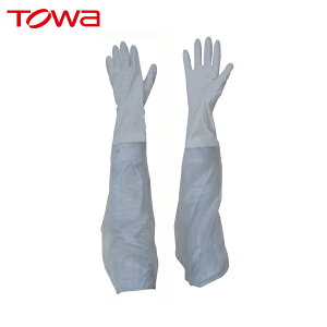 a g Ǝ rJo[t rjX^[rJo[t M (1o) iԁF767-M