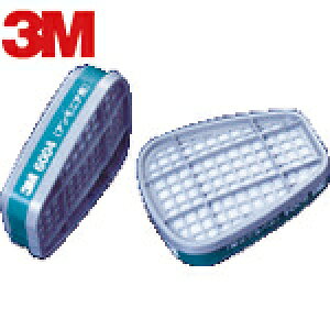3M X[G AjApz 6004 2 (1g) iԁF6004 OHSP