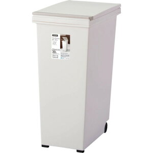 AXx ASVEL S~ Go vbVy[30L (1) iԁF601293