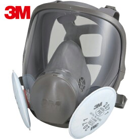 3M(スリーエム) 取替式防じんマスク 6000F/2071-RL2 Lサイズ (1個) 品番：6000F/2071-RL2L