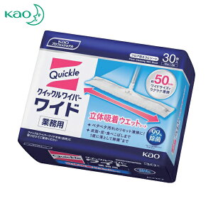 Kao ԉ EFbgCp[ ƖpNCbNCp[̋zEFbgV[g i30j (1) iԁF510440