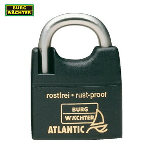 uN Fq^[ Jo[tXeXVbN싞 AgeBbN 217F-30NiSB (1) iԁF10001