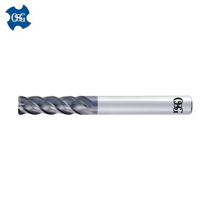 OSG I[GXW[ dhU^Gh~ O` WAX^Cv AE|VML 8556344 (1{) iԁFAE-VML 10X31XR0.3