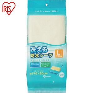 ACXI[} IRIS 524056 􂦂hV[c LTCY1 (1) iԁFBSW-17