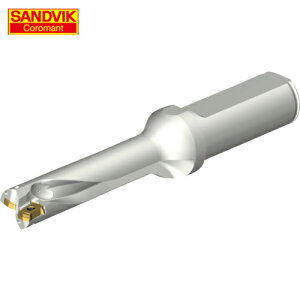 SANDVIK ThrbN RhDS20nhi465j (1{) iԁFDS20-D1500L20-04