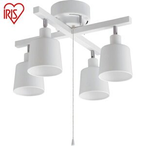 ACXI[} IRIS 537643 4V[O NX zCg (1) iԁFCE4LA-20C-W