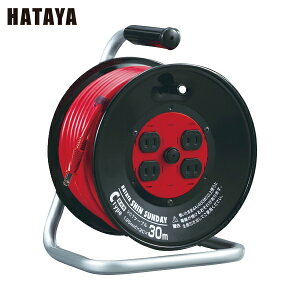 n^ dHh R[h[ R[h[ VTf[[ P100V^ 30m (1) iԁFC-30SIN