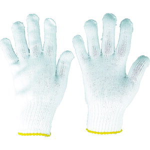 ۘaP~J Ǝ {R (1g) iԁF130