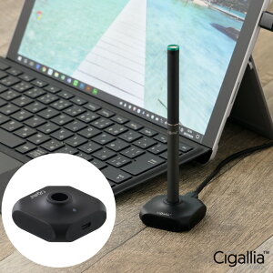 yLINEN[|300~OFFz ݊obe[ VKAp [dX^h dq^oR Cigallia ss