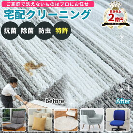 ご愛顧感謝デー！[特別クーポン]【送料無料】カーペット 宅配クリーニング ラグ クリーニング 絨毯 クリーニング カーペット 洗濯 シミ 汚れ落とし 除菌 ダニ 対策 抗菌 除菌 じゅうたん カーペット 臭い 専門 クリーニング ペット 専門 カーペット 丸洗い 玄関マット 防臭