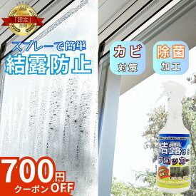楽天1位！日本製【本日700円OFFクーポンあり】+10倍 スリーエス 結露ブロッカー3S スプレー 100ml 250ml 詰替 250ml 500ml / 2L 結露対策 結露 防止 スプレー 曇り止め カビ防止 簡単 コーティング 室内 窓 ガラス ショーケース ウィンド 湿度 冬 曇り 対策 雪 雨結露防止