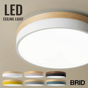 y10/20 N[|őSi10%OFFz  V[OCg k LED F Rt V Ɩ  V[O Cg Ɩ R VR rO _CjO Lb` q