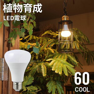 y12/15 N[|œXق10%OFF!z A琬Cg PLANTS LIGHT COOL 60 F A琬 LED d E26 琬Cg A Ɩ LEDd ϗtA vcCg BRID ubh 琬  