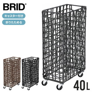 BRID h[oXPbg ܂肽 LX^[ t e 40L tjbg oXPbg  ubh h[S h[obO h[Xg[W h[XNGA