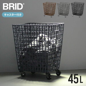 y11/27 01:59}fő20%OFFN[|z BRID h[oXPbg LX^[ t e 45L tjbg oXPbg  ubh h[S h[obO h[Xg[