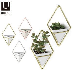 y10/30 قڑSi10%OFFN[|zzz Umbra ( Au ) gbO EH[I[KiCU[ S 2Zbg ϗtA A CeA  v^[  Jo[ V