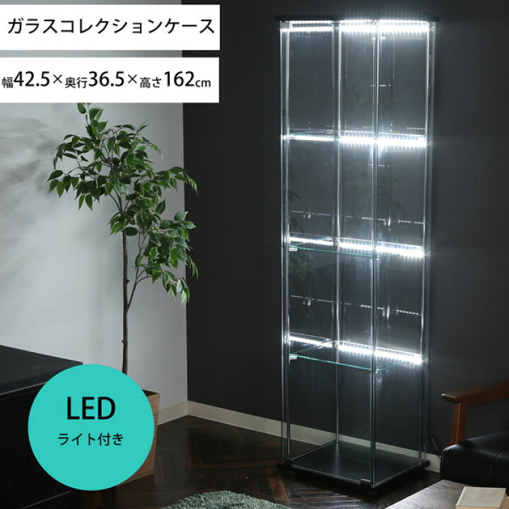 楽天市場】【クーポンでmax20%OFF! 4/4 20:00ｽﾀｰﾄ】 コレクション 