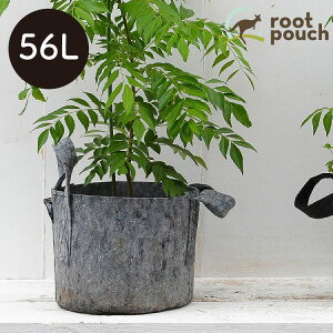 [c|[` Root Pouch #15 56L 13 14  Aؔ v^[ A  sDz z ʋC r TCN RpNg  y O[ A ͔| ƒ؉ K[fjO O 