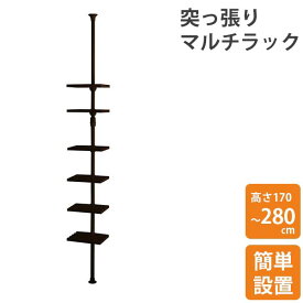 【最大20%OFFクーポン!6/4火20時～】 ドリームハンガー 突っ張りマルチラック ブラック ワンタッチ突っ張りポール 収納 天井 新生活