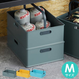 取っ手付 収納ケース カラーボックス 通販 価格比較 価格 Com