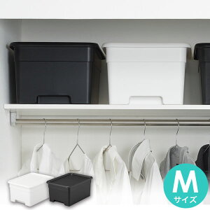 y11/14 10X^[g XقڑSi10%OFF!z [P[X onbox ( I{bNX ) M squ+ XLEvX Rei Ƌ  CeA [ XbL [ t^t ӂt 