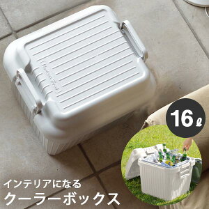 yN[|max20%OFF! 12/11 01:59}fz CeAɂȂ N[[{bNX VARIOUS BOAT ( xAX{[g ) STCYƃxAX H&C{bNX 16L O[̃Zbg  squ+ XLEvX AEg