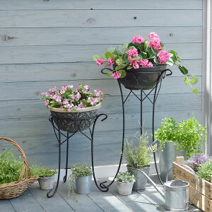 yN[|max15%OFF 11/11 01:59܂Łz t[X^h ACA  fR[VX^h 400 700 K[fjO ԑ v^[  O I |bN K[fbN V 