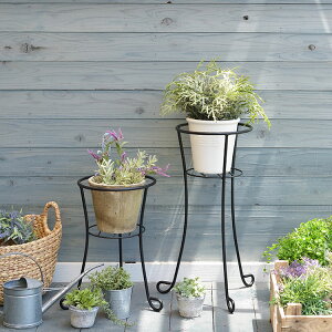 y11/1 N[|max15%OFF!z v^[X^h t[{[ t[X^h ACA 400 600  K[fjO ԑ v^[  O K[fbN V | u