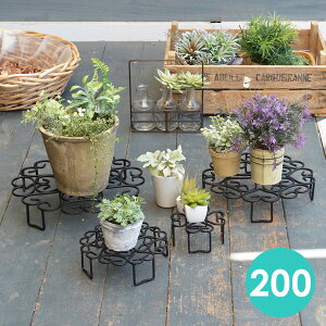 y11/1 N[|max15%OFF!z v^[X^h  ̂ł 200 t[X^h ACA ԑ O AeB[N v^[ X^h  K[fjO v^[ | 