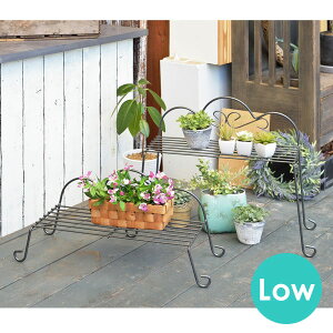 y11/30-12/1 N[|œXقڑSi10%OFF!z y|zv^[X^h `FA[X^h LOW K[fbN v^[bN  ` v^[ O  t[bN 