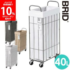 楽天市場 ランドリーボックス バスケット 奥行き Cm 奥行き 29cm 収納家具 インテリア 寝具 収納 の通販