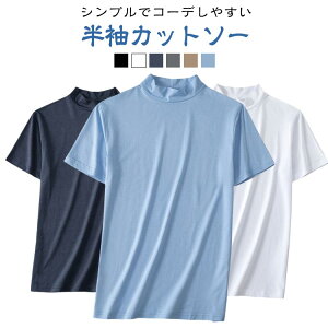 Jbg\[  StEFA jO n JWA Y TVc StgbvX X|[c eB[Vc bNlbN gbvX 傫TCY StEFA W ^ am g