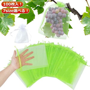 ʎ 100 ʎ  ʕیobO ʎ hlbg hlbg h ʎp |pi K[fjOpi  ʕیlbg bV bVobO At[cیobO