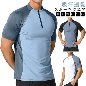 Y EFA  Ci[  n[tWbv   ĕ StEGA X|[cgbvX X|[cEGA JWA [N rWlX  N[ Vc z   