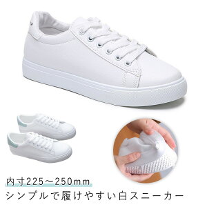  Xj[J[ Vv Xj[J[ v [Jbg ₷ ~ JWA ₷  ʊw tH fB[X _炩 Xj[J[ ɂ ʋ U[Xj[J[ Mt