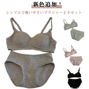 uW[ w uW[ ZbgAbv n fB[X V[c ㉺Zbg w uW[Zbg V[cZbg m[C[ Vv  Z K Ci[ pbht