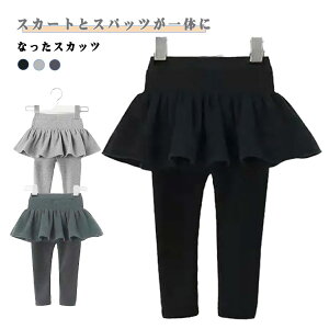 XJ[g xr[ H~ LbY XJ[g XJ[g XJbc LbY ̎q10 XJ[gtMX tXJ[g n 킢 ǂ XJ[gMX xr[  Vv 