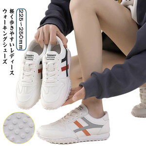 ~ JWAV[Y Xj[J[ ^C fB[X  JWA ₷ EH[LOV[Y ʊw 킢 EH[LOV[Y l  y Ȑ Vv 