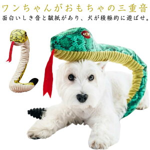  ̏o ʂ wr RXv   N 蕨 ^ ^ ^ ybg 2025N x N N  ʂ XJ[t XgX ނ nEB