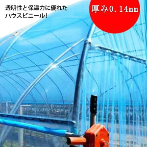 農業用ビニール ビニールハウス 厚み0.14mm 幅600cm 長さ10m 屋根用ハウスビニール 屋根ビニール 農業用ハウス 農ビ 農PO 農園 園芸用 農業用 ハウスビニール 家庭菜園 栽培 園芸用品 温室フィル