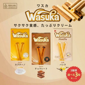 XJ WASUKA Iׂ 3 Zbg EGn[[ `R[g Jv`[m oj َq ChlVA A nF 5{  XC[c `RՂ `R[ VKbgNbL