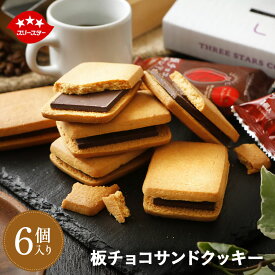 板チョコサンドクッキー アソート（板チョコサンド＆レーズンサンド） 6個 お菓子 ギフト プチギフト 内祝い チョコレート 個包装 メール便 お試し ポイント消化 チョコクッキー ショコラ 送料無料 クリスマス バレンタイン