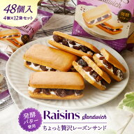 業務用 レーズンたっぷり！レーズンサンド4個入12袋セット ばらまき お菓子 大容量 大量 個包装 スイーツ…