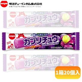 30円 メイチュー ガブリチュウ グレープ味 [1箱 20袋入]【駄菓子 お菓子 ソフトキャンディ まとめ買い 箱買い ポイント消化 おやつ ノベルティ向け アミューズ向け】