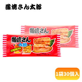 菓道 蒲焼さん太郎 [1袋 30袋入] 【駄菓子 珍味 菓道 お菓子 おつまみ おやつ プレゼント 景品 ノベルティ アミューズ】