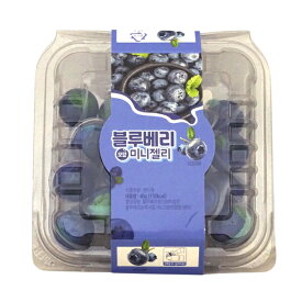 フルーティカプセルグミ ブルーベリー味 [1箱 10個入]【グミ 海外のお菓子 輸入菓子 SNS ちっちゃいグミ ミニグミ まとめ買い 箱買い】